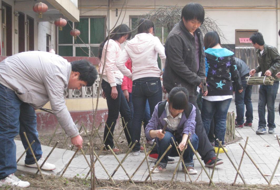 为敬老院修筑篱笆