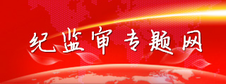 纪监审专题网
